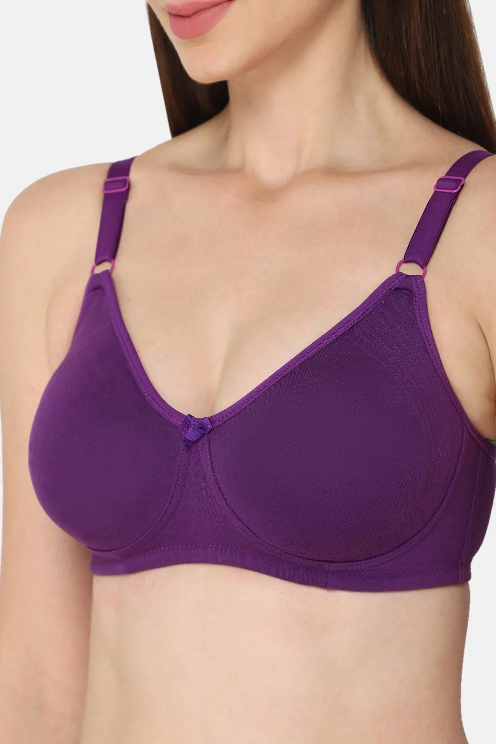 Intimacy Everyday Bra Combo Pack – Comfortable and Stylish Bras for Daily Wear (EC06 - C34)