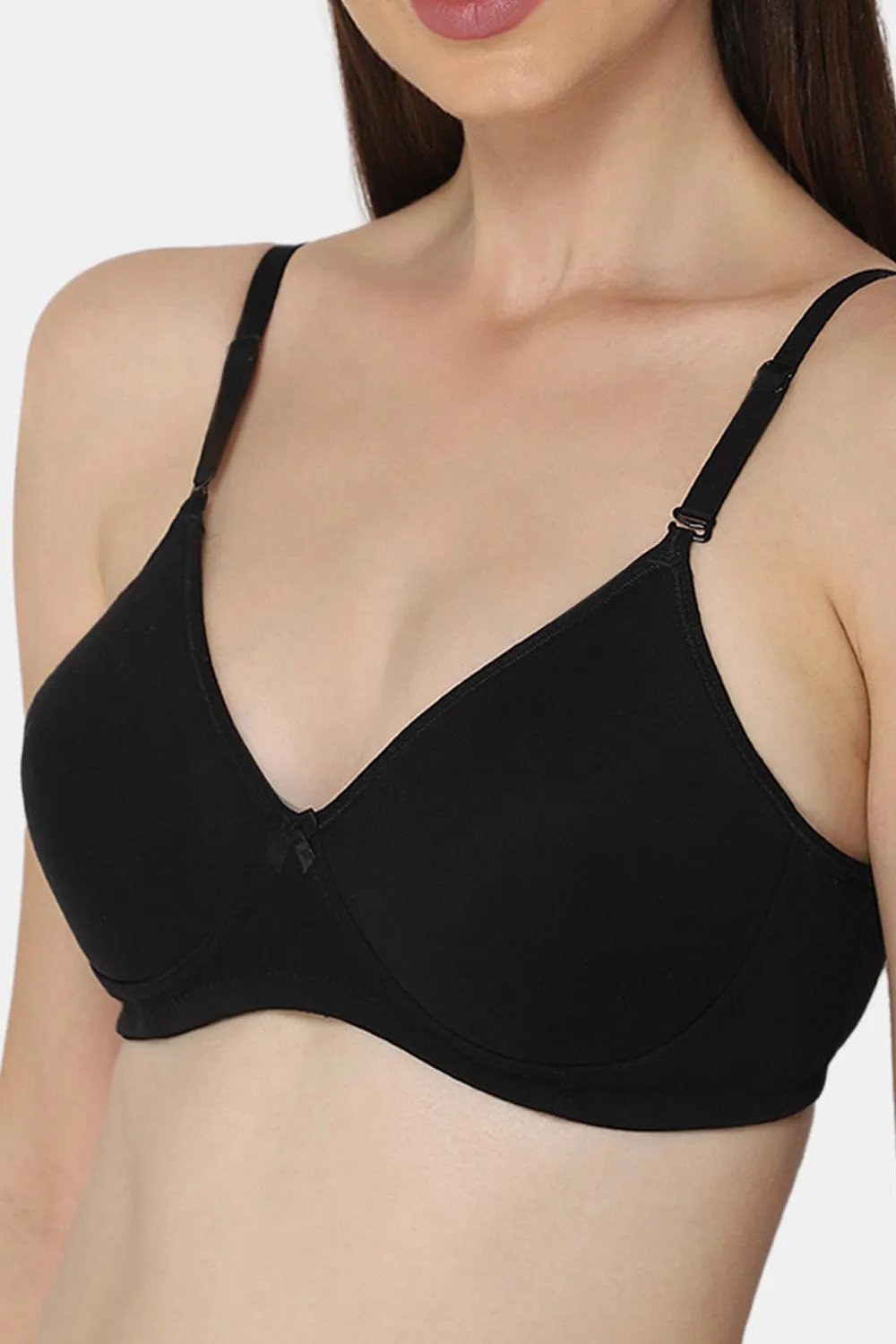 Intimacy Everyday Bra Combo Pack – Comfortable and Stylish Bras for Daily Wear (EC06 - C34)